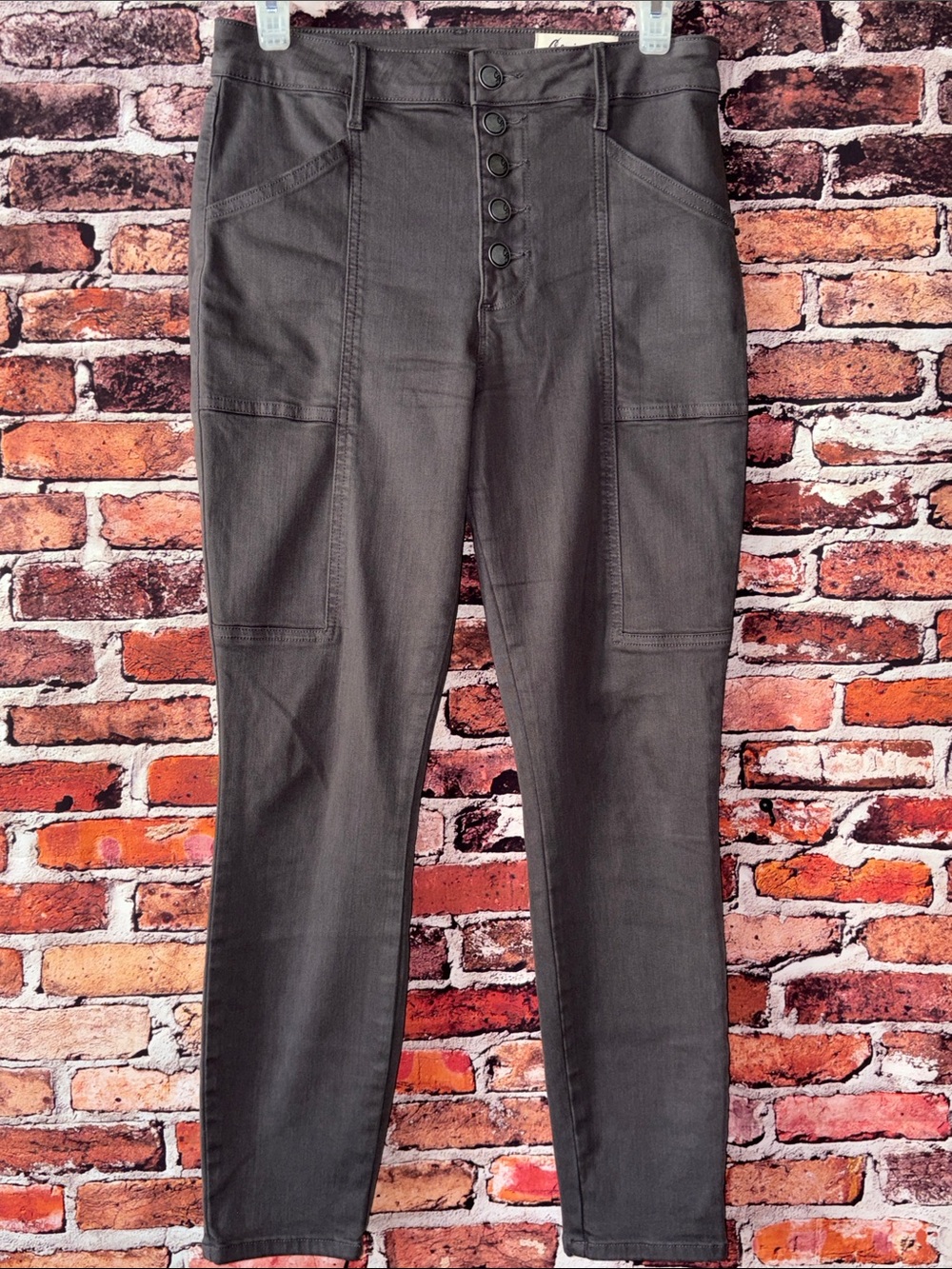 Cosmic Blue Love High-Rise Skinny Jeans in Gray with Button-Fly Size 27P
